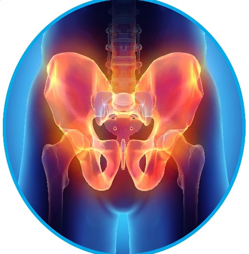 Hip